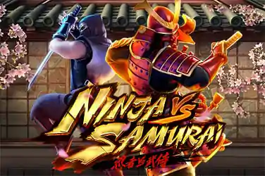 Ninja Samurai